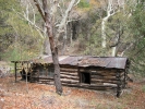 PICTURES/Ramsey Canyon Inn & Preserve/t_Ramsey Preserve - Old Cabin 2.JPG